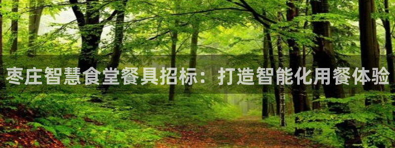 凯时官网手机版下载