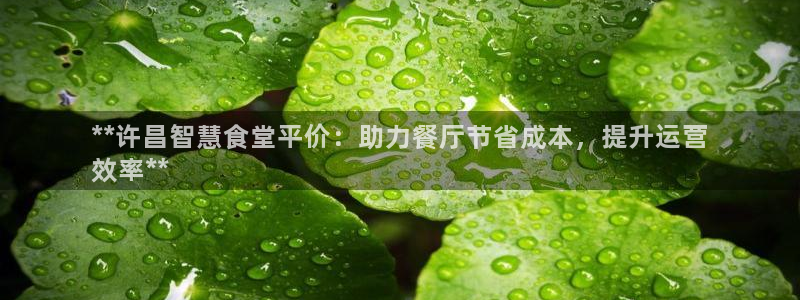 尊龙目前情况