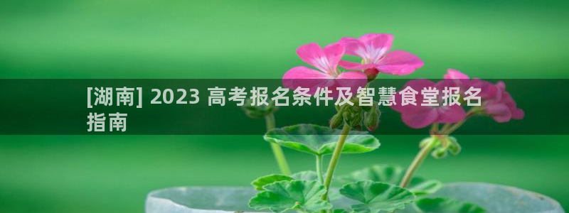 尊龙凯时代理官网入口