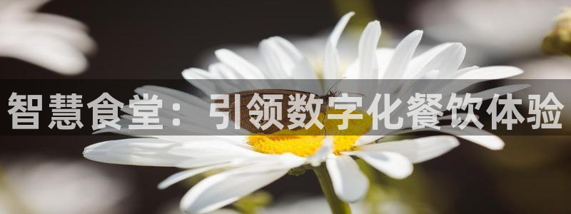 尊龙凯时正规吗