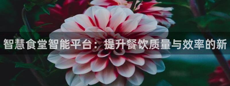 尊龙凯时下载人生就是博