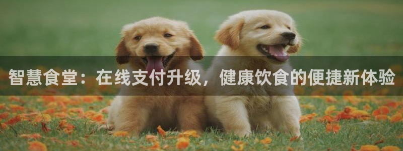 ZL尊龙凯时集团