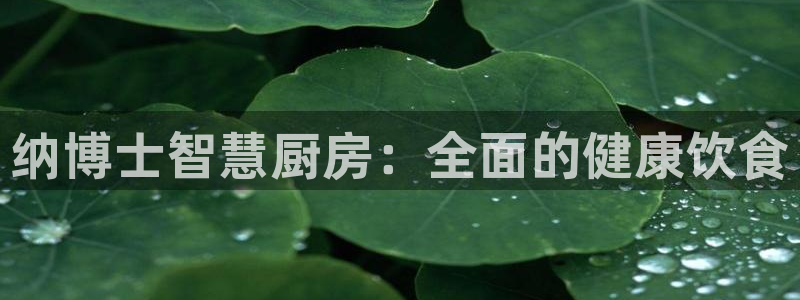 尊龙用现金一下可靠送38元