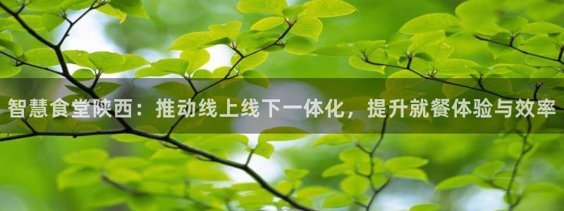 凯时在线平台官网