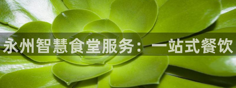 尊龙人生就是博一下首页