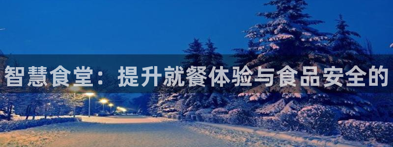 凯时国际官方版