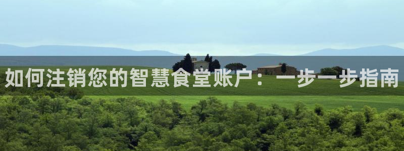 尊龙凯时老板是谁：如何注销您的智慧食堂账户：一步一步指南