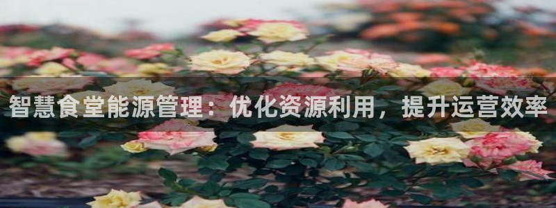 尊龙网站人生就是博