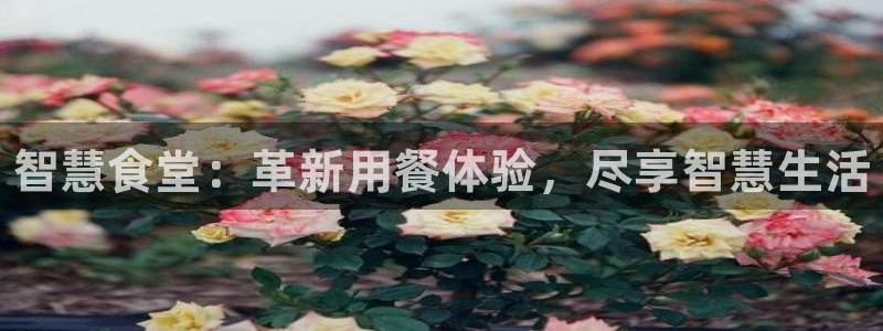 尊龙人生就是博旧版现金娱乐一下