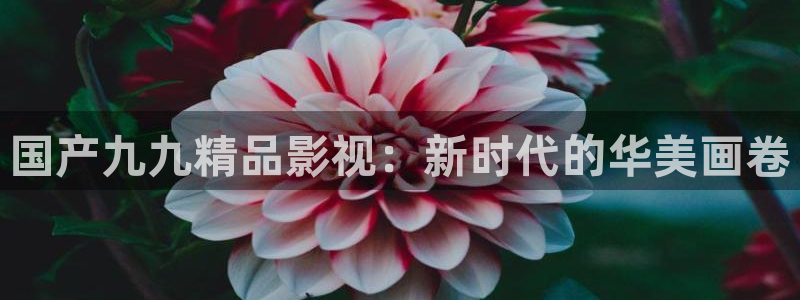 么么哒影院电视剧在线观看