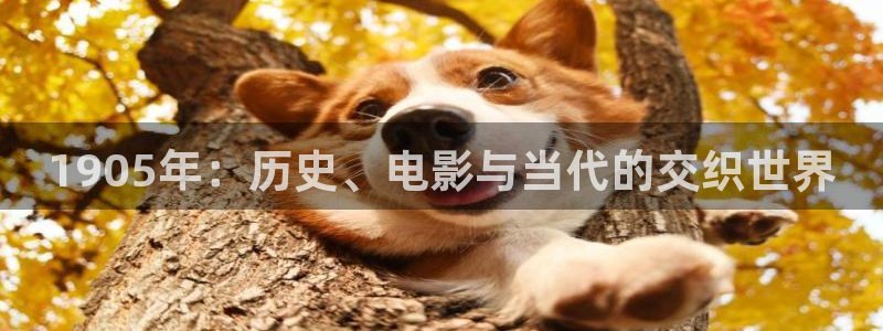 么么哒影院电视剧在线观看