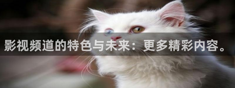 么么哒影院电视剧在线观看