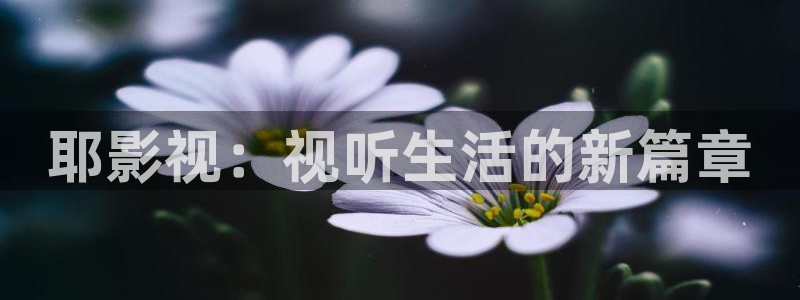 么么哒影院电视剧在线观看